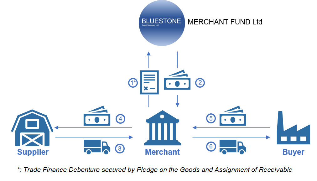 Schema_Trade_and_Financial_Flows